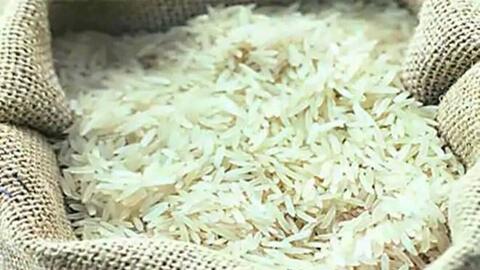 Ấn Độ có thể áp dụng giá sàn đối với gạo basmati xuất khẩu
