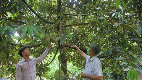 Tạo chuyển biến từ nhận thức đến hành động trong xây dựng nông thôn mới 