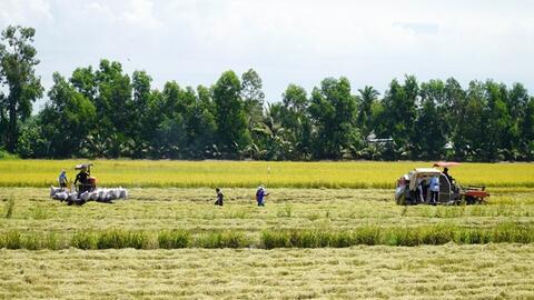 Phát triển bền vững Đồng bằng sông Cửu Long: Thuận thiên để thích ứng (Bài cuối)