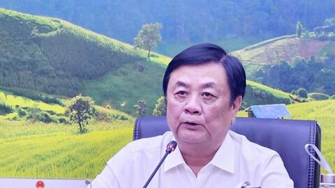 Nhận diện thực trạng liên kết tiêu thụ, xuất khẩu sầu riêng