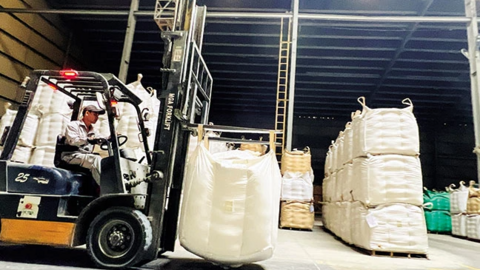 Ưu tiên vốn cho ngành hàng lúa gạo, thủy sản vùng ÐBSCL 