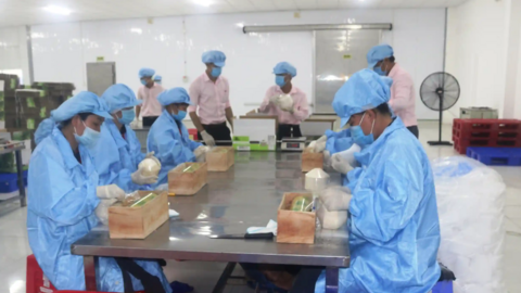 Để nâng cao giá trị cho nông sản 