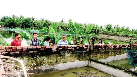 Agribank đồng hành cùng mô hình nuôi cá sấu ở An Minh 