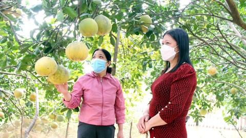 “Kênh” thoát nghèo của đoàn viên