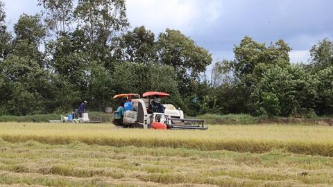 Đổi mới tư duy, nâng cao trình độ canh tác cho nông dân địa bàn khó khăn ở tỉnh Tiền Giang