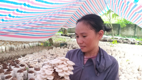 "Góc khuất" chuyển đổi số nông nghiệp: Xã nông thôn mới kiểu mẫu Thủ đô chuyển đổi số nửa chừng (Bài 3)
