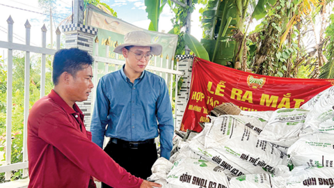 Hợp tác xã mở hướng đi mới 
