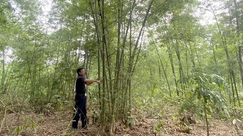 Thanh Hóa tháo gỡ khó khăn trong tiêu thụ nông sản miền núi