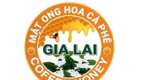 Cấp giấy chứng nhận đăng ký cho nhãn hiệu “Mật ong hoa cà phê Gia Lai - Coffee honey”
