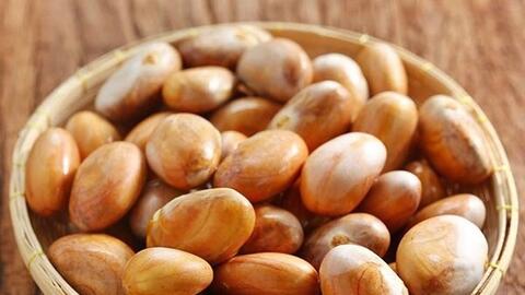 Quy trình sản xuất axit lactic từ hạt mít