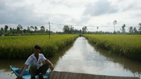 Ngành tôm và thách thức từ nguồn phát thải 