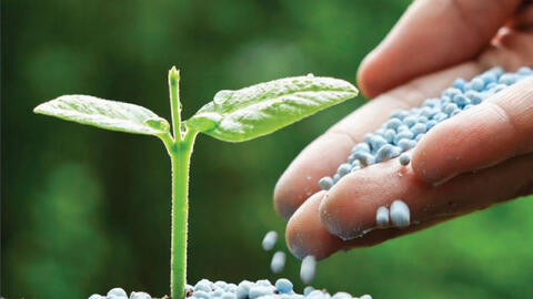 Giá phân đạm giảm