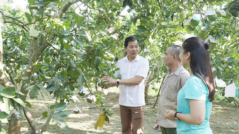 Xây dựng mã số vùng trồng - chìa khóa xây dựng lòng tin cho nông sản