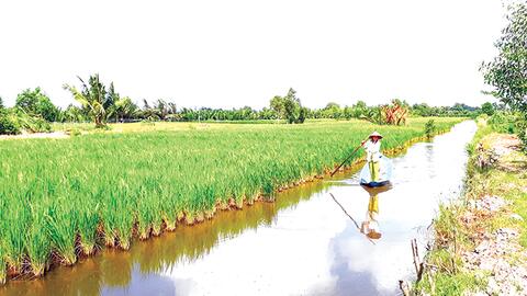 Nuôi tôm có trách nhiệm 