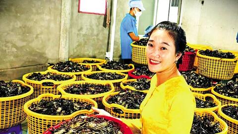 “Gắn sao” để đặc sản vươn xa 