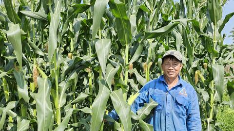 Đa dạng rau màu, trái cây phục vụ Tết Nguyên đán 