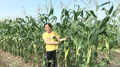 Cần lao phát triển kinh tế gia đình 