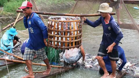 Giá cả thị trường 