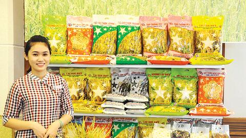 Công nghệ chế biến sâu các sản phẩm từ gạo 