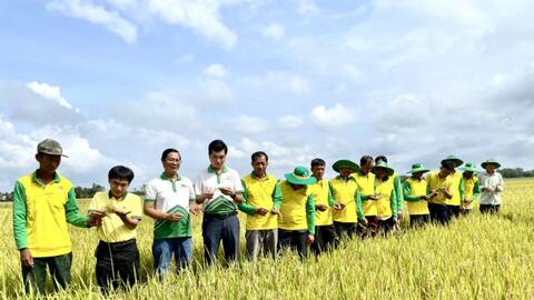 Phân bón Cà Mau tiếp tục được bình chọn hàng Việt Nam chất lượng cao