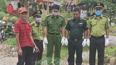 Người dân giao nộp nhiều động vật quý hiếm