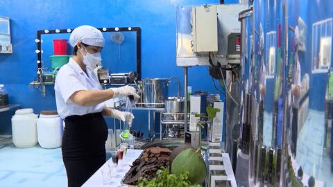 Thúc đẩy chuyển đổi số và khởi nghiệp đổi mới sáng tạo tại vùng đồng bằng sông Cửu Long