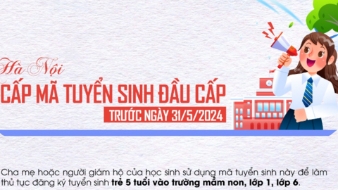 Hà Nội: Cấp mã tuyển sinh đầu cấp trước ngày 31/5