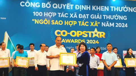 Những ngôi sao hợp tác xã 