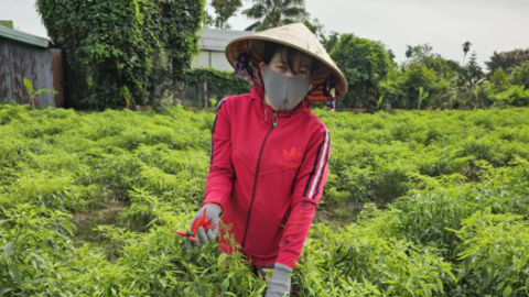 Dạo quanh thị trường 