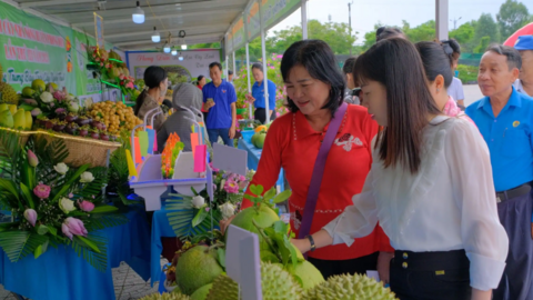 Phong Điền hỗ trợ nhà nông, phát huy thế mạnh vườn cây ăn trái 