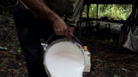 Giá cao su giảm, thị trường nhiều lo ngại