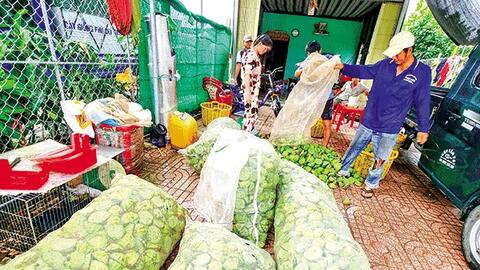 Giá gương sen tăng, ớt đạt mức giá cao kỷ lục, nhãn xuồng cơm vàng giảm giá 