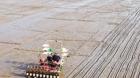 Hướng đi riêng của Hợp tác xã Sản xuất và Dịch vụ nông nghiệp Tấn Ðạt 