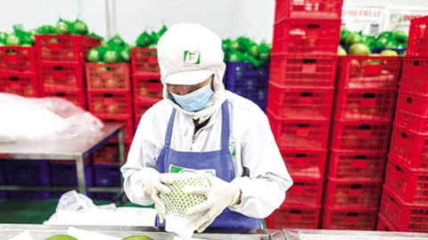 Hoa Kỳ là thị trường xuất khẩu lớn nhất của Việt Nam 