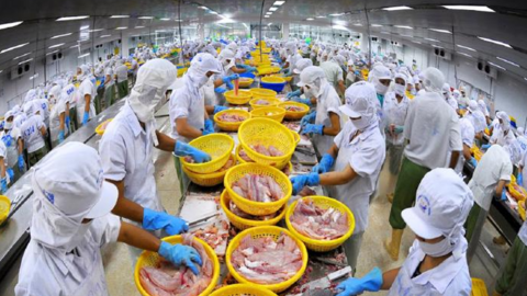Xuất khẩu cá tra Việt Nam khi được FTA CPTPP trợ lực