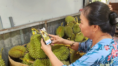 Số hóa tìm đầu ra cho sản phẩm OCOP 