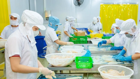 Xây dựng hợp tác xã điển hình cho các ngành hàng chủ lực 