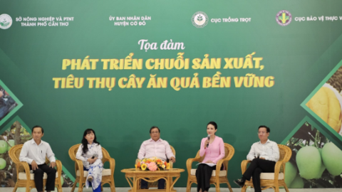 Tọa đàm “Phát triển chuỗi sản xuất - tiêu thụ cây ăn quả bền vững” và ký kết hợp tác xuất khẩu thanh nhãn 