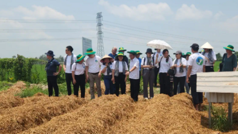 Liên kết, hợp tác tái cơ cấu ngành Nông nghiệp, nâng chất chuỗi giá trị nông sản 