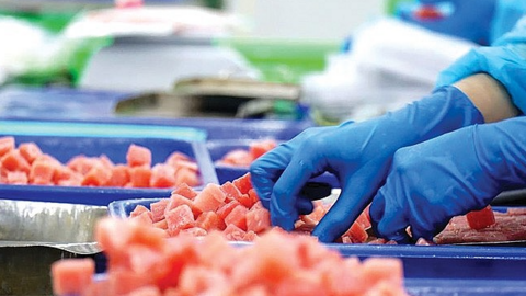 Israel mua con gì của Việt Nam mà tốc độ tăng tới 3 con số trong tháng 9/2024