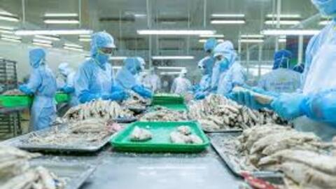 Ngành cá ngừ đứng trước cơ hội “vàng” để tăng xuất khẩu sang UAE