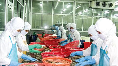 Xuất khẩu tôm vẫn chưa hết lo 