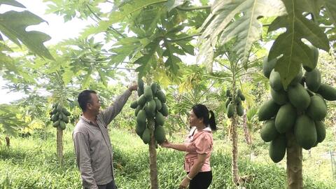 Đáp ứng nhu cầu tạo việc làm, tăng thu nhập 