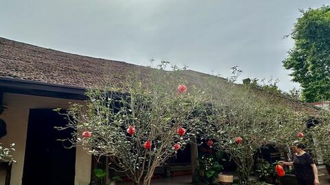 Phú Thọ: Từ sản phẩm địa phương đến sinh kế bền vững