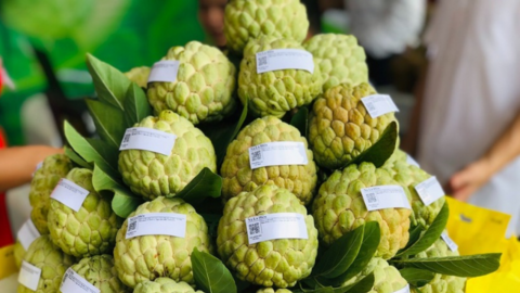 Thái Nguyên chuyển mình cùng thương mại số: Mở rộng đầu ra, nâng tầm đặc sản