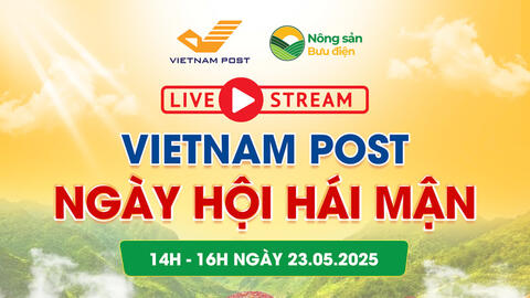 Sàn thương mại điện tử góp phần gỡ ‘nút thắt’ nông sản miền núi