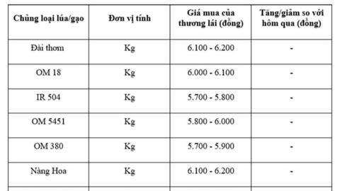 Giá lúa gạo hôm nay ngày 11/7: Thị trường lặng sóng