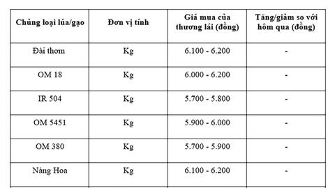 Giá lúa gạo hôm nay ngày 21/7: Gạo nguyên liệu xuất khẩu tăng mạnh