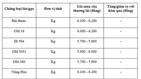 Giá lúa gạo hôm nay ngày 20/7 và tuần qua ít biến động