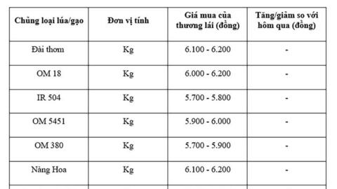 Giá lúa gạo hôm nay ngày 23/7: Gạo xuất khẩu tiếp đà tăng nhẹ